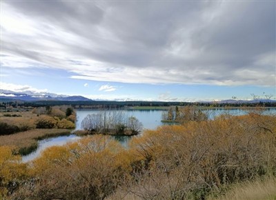 Iron bridge by Haldon Arm and then around Pukaki canals